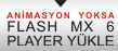 Flash Player Y&uuml;kle